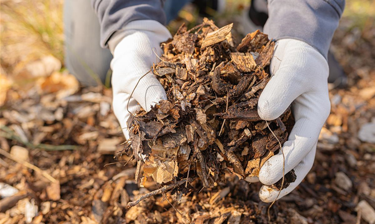 die-haende-des-menschen-in-gartenhandschuhen-legen-hackschnitzelmulch-in-den-beutel-recycling-von-recyceltem-holzmulch.jpg