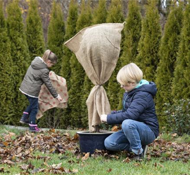 Allgemeine Gartenarbeit im November